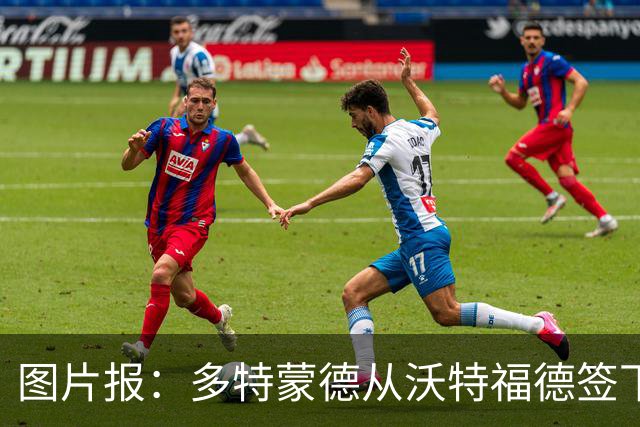 图片报：多特蒙德从沃特福德签下了一位草坪管理专家